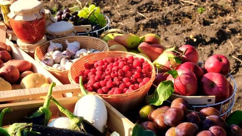 Fruits and Vegetables at the Farmers Market Selective Focus