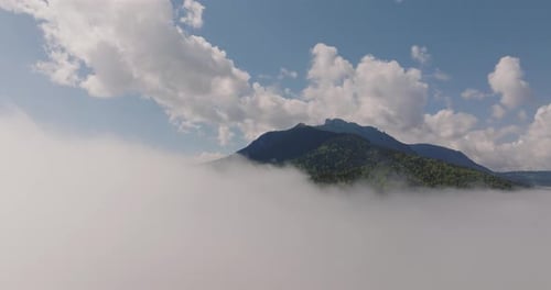 Rising through inversion clouds, revealing a lush, green forest-covered mountain peak, on a sunny da