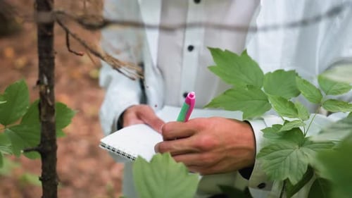 Researcher Writing Notes in Forest with Jotter and Pen