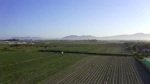 A thriving farmland