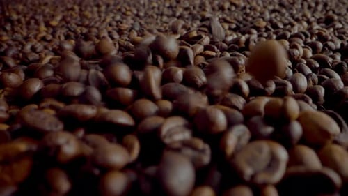 Roasted Coffee Beans Falling and Piling Up