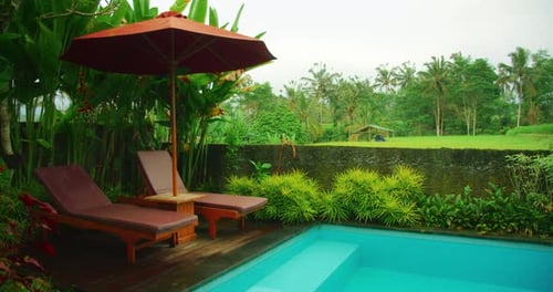 Private tropical villa poolside with forest view and lounge chairs in Bali