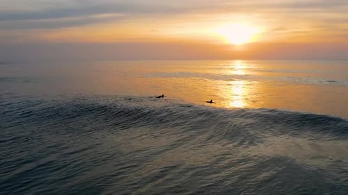 Beautiful seascape with surfers surfing waves at sunset
