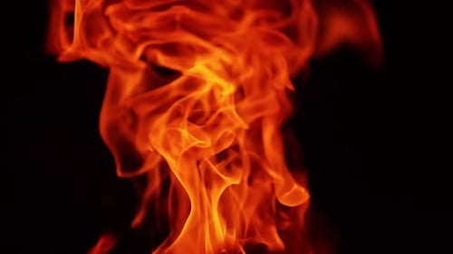 Red fire flames moving in the wind. Blaze in the darkness isolated. Close up.