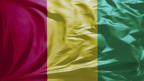 Seamlessly Looping Waving Flag of Red Yellow Green