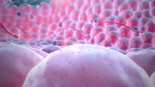 Sperm cells approaching egg cells in a vibrant microscopic environment