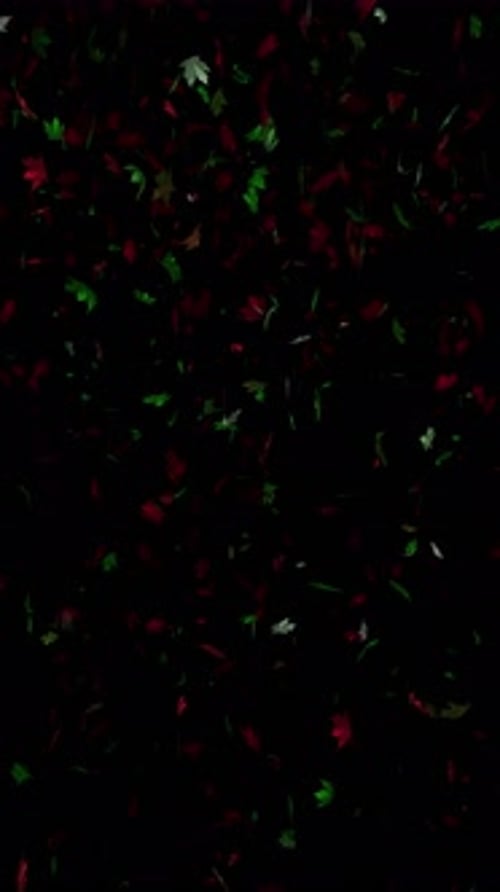 Christmas Looping Falling Autumn Leaves with Alpha Channel