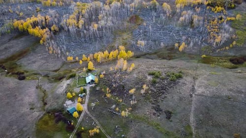 Aerial View of Landscape with Colorful Autumn Trees