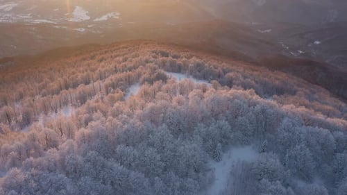 Winter Sunrise Above The Mountain Forest 12