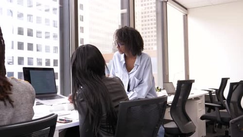 Business Women Discussing Laptop in Highrise Office