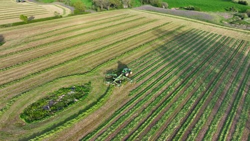 Vue aérienne d'un râteau à foin ramassant de l'herbe pour l'ensilage dans une ferme
