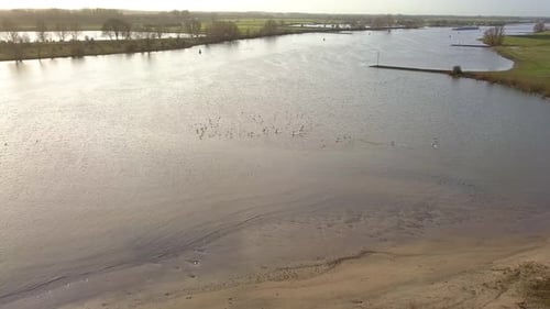 aerial footage of flying bird or seagulls on the lake or canal