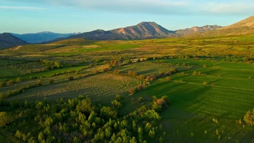 A lush green field with a mountain in the background