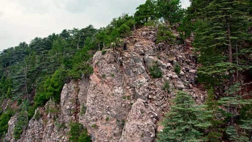 Photographing Nature on the Edge of the Cliff