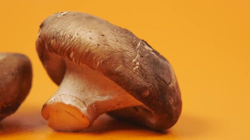 Heap of Champignon Mushrooms Close Up