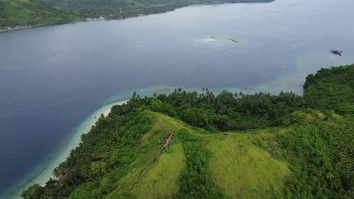 aerial view of the coastline filled with coconut trees