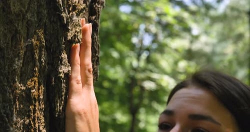 Beautiful brunette girl, tree with bark, human hand touches tree, long branches, green leaves. Con