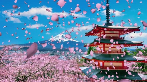 Pink Sakura Landscape Mountain 4k Loop