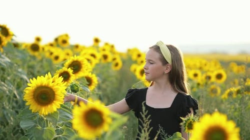 Girl Touches Sunflower in Rural Summer Field