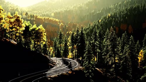 An Empty Road Winding Through a Serene Forest at Sunset