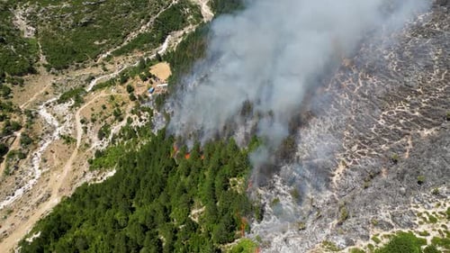 Rauch und Feuer kommen aus brennenden Wäldern