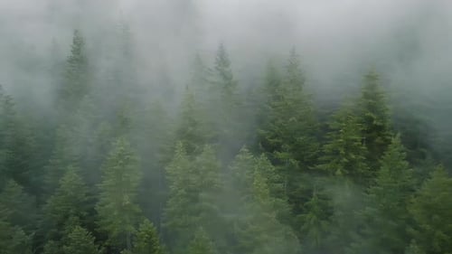 Aerial View of Beautiful Mountain Landscape Fog Rises Over the Mountain Slopes