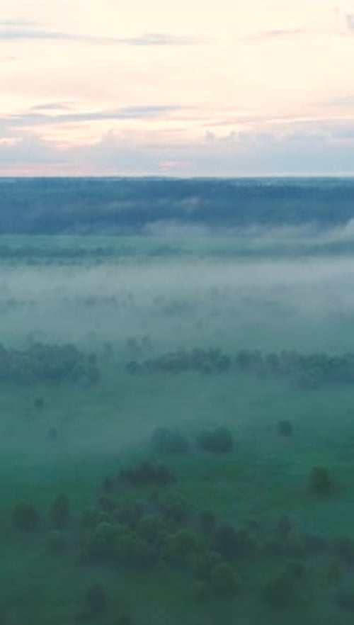 Flying Over Field and Trees in Morning Haze Aerial View Warm Tint Vertical Video