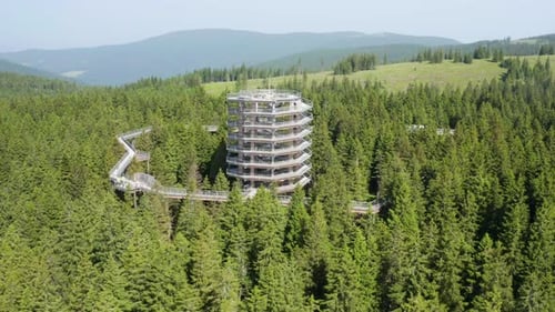 Bright Green Coniferous Forest Around Pohorje Treetop Walk In Rogla, Slovenia. - aerial