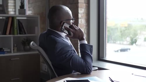 Businessman Talking on Smart Phone at Office Window Adult