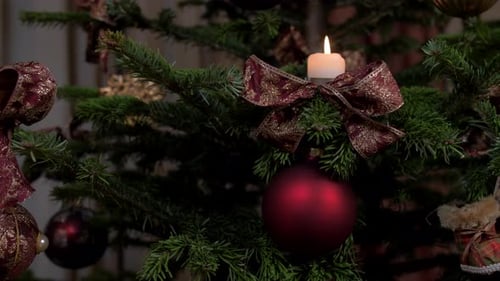 A candle on a christmas tree, 4k Apple ProRes422