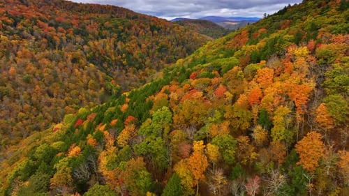Flying over the slopes of huge mountains covered with green, red, yellow, orange trees