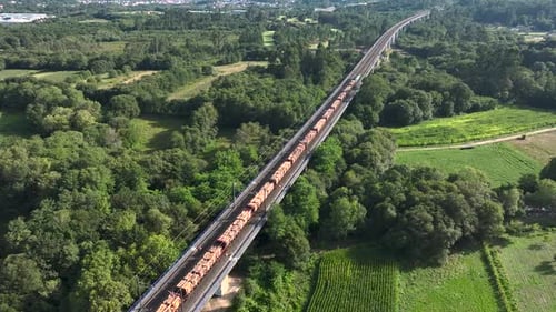 Luftaufnahme eines langen Güterzuges, der im Sommer an Feldern und grünen Bäumen vorbeifährt.