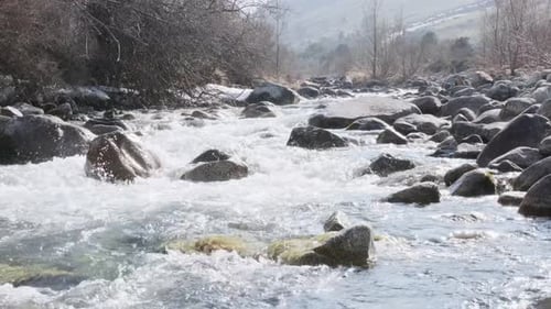 Mountain River Flowing Between Rocky Shores Summer Mountain River in Wood Water and Stones Slow