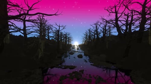 Colorful Night Tree Hd