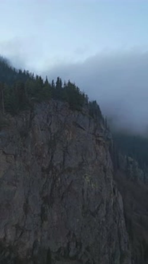 Misty Mountain Forest. British Columbia, Canada.