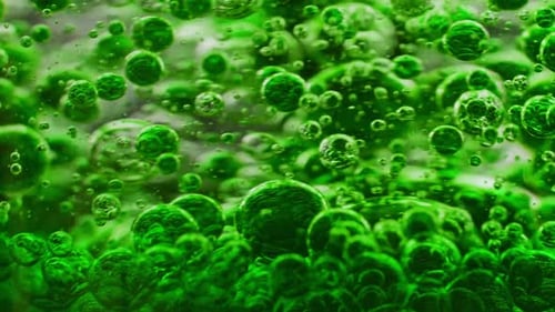 macro shot of a bunch of green bubbles in water moving constantly