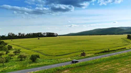 Vast green fields under a bright sky. A wide view of lush green fields stretches across