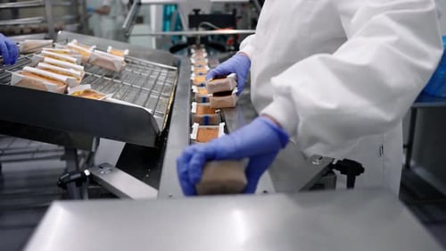 confectionery and bakery industry preparing dough and pastries
