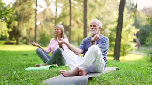 Seniors Practicing Yoga and Meditation in the Park