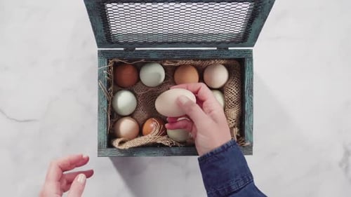 Opening a Box of Colorful Chicken Eggs