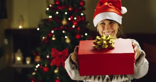 Woman Offers Christmas Gift Next to Decorated Tree