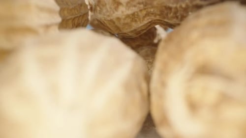 Extreme Close Up of a Pile of Peanuts