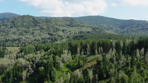 Aerial View of Rolling Hills with Green Forest