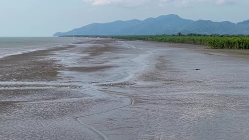 Aerial Mudflat Coastline at Low Tide with Mangroves