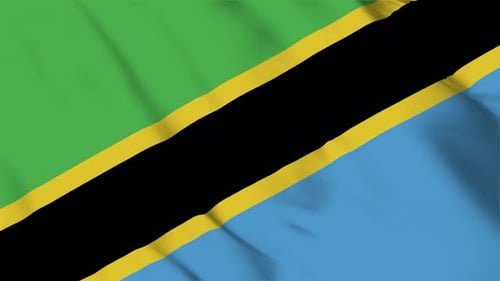 Tanzania Waving Flag