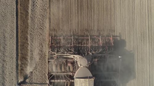 Countryside Farm Tractor Plow the Earth in Field Dust in the Field View From Height Grain Sowing Top
