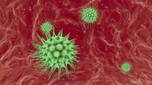 Viren unter dem Mikroskop. Virus des menschlichen Immunsystems bewegt sich über den Bildschirm.