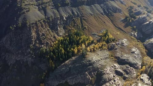 Aerial drone shot dollys in towards golden aspens and green pines surrounded by rugged terrain in Ut