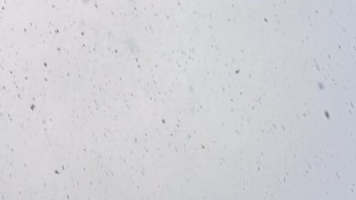 4K Snow