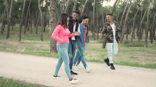 Group of Multiethnic Friends Walking on a Park